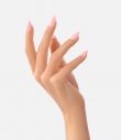 Queen's Cosmetics Marseille - Victoria vynn - GEL POLISH N°194  SHEER FANTASY VICTORIA VYNN