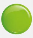 Queen's Cosmetics Marseille - Victoria vynn - GEL POLISH N°332 INSANE GREEN VICTORIA VYNN