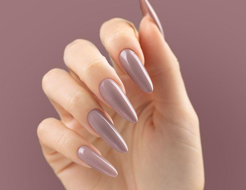 5902533321292_1 Queen's Cosmetics Marseille - Victoria vynn - PURE CREAMY 244 FIELD WINE VICTORIA VYNN